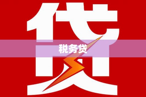 延边税务贷