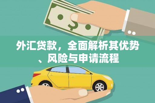 延边外汇贷款，全面解析其优势、风险与申请流程