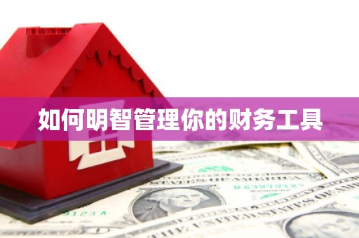 延边如何明智管理你的财务工具