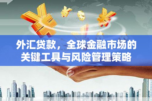延边外汇贷款，全球金融市场的关键工具与风险管理策略