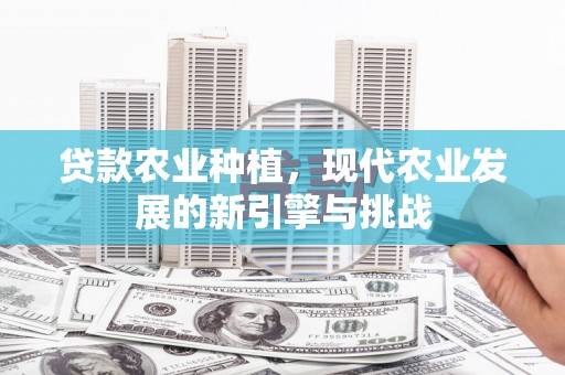 延边贷款农业种植，现代农业发展的新引擎与挑战