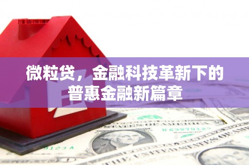延边微粒贷，金融科技革新下的普惠金融新篇章