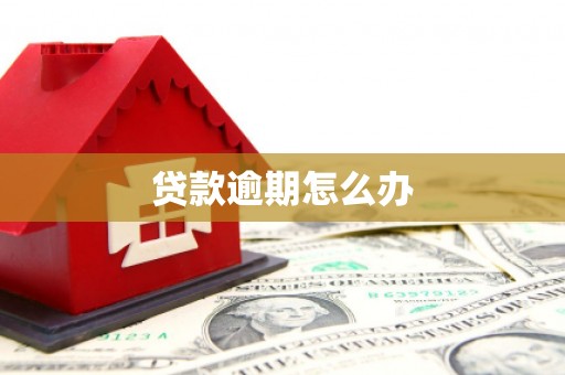 延边贷款逾期怎么办