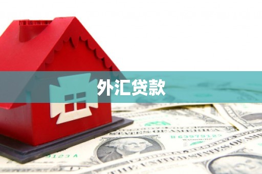 延边外汇贷款