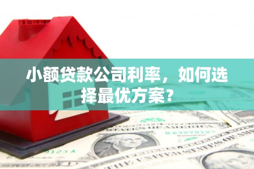 延边小额贷款公司利率，如何选择最优方案？
