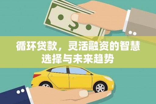 延边循环贷款，灵活融资的智慧选择与未来趋势