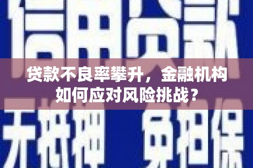 延边贷款不良率攀升，金融机构如何应对风险挑战？