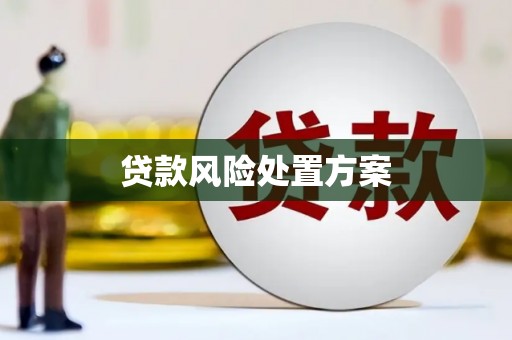 延边贷款风险处置方案