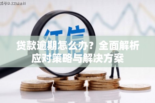 延边贷款逾期怎么办？全面解析应对策略与解决方案