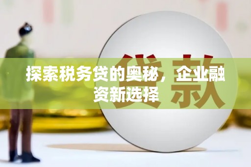 延边探索税务贷的奥秘，企业融资新选择