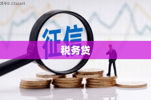 延边税务贷