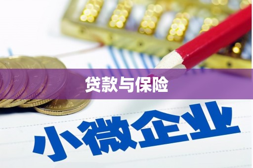 延边贷款与保险