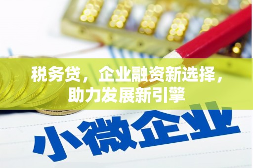 延边税务贷，企业融资新选择，助力发展新引擎
