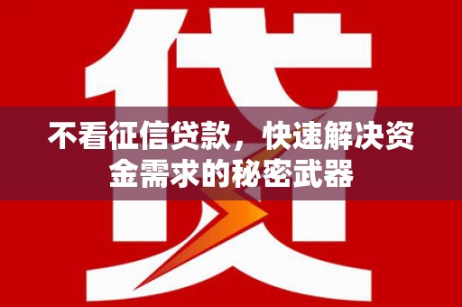 延边不看征信贷款，快速解决资金需求的秘密武器