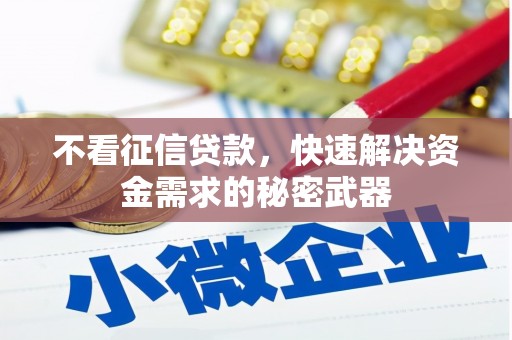 延边不看征信贷款，快速解决资金需求的秘密武器