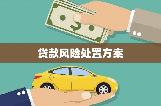 延边贷款风险处置方案