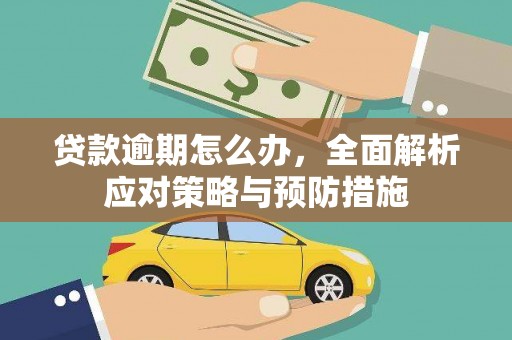 延边贷款逾期怎么办，全面解析应对策略与预防措施
