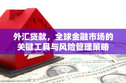 延边外汇贷款，全球金融市场的关键工具与风险管理策略