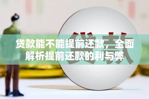 延边贷款能不能提前还款，全面解析提前还款的利与弊
