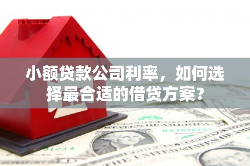 延边小额贷款公司利率，如何选择最合适的借贷方案？