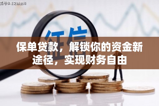 延边保单贷款，解锁你的资金新途径，实现财务自由