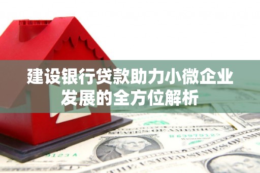 延边建设银行贷款助力小微企业发展的全方位解析