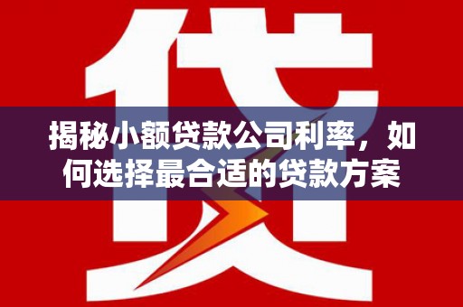 延边揭秘小额贷款公司利率，如何选择最合适的贷款方案
