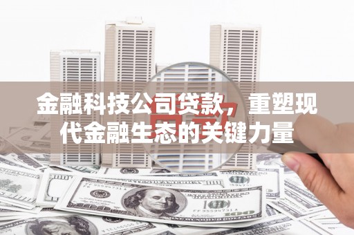 延边金融科技公司贷款，重塑现代金融生态的关键力量