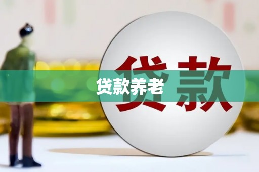 延边贷款养老