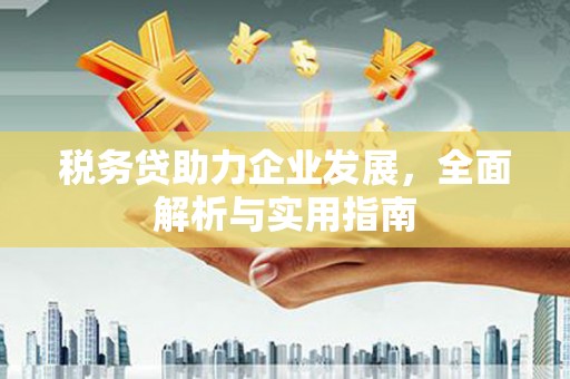 延边税务贷助力企业发展，全面解析与实用指南