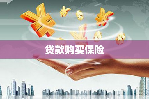 延边贷款购买保险