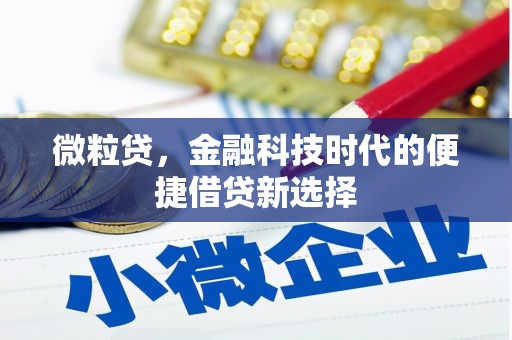 延边微粒贷，金融科技时代的便捷借贷新选择