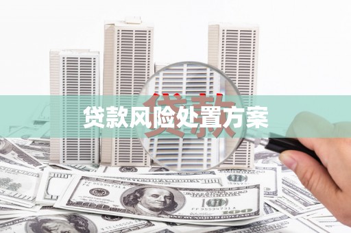 延边贷款风险处置方案