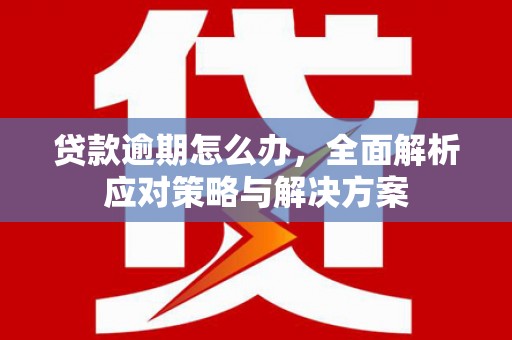 延边贷款逾期怎么办，全面解析应对策略与解决方案