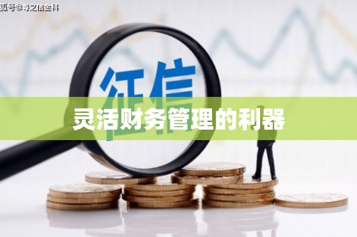 延边灵活财务管理的利器