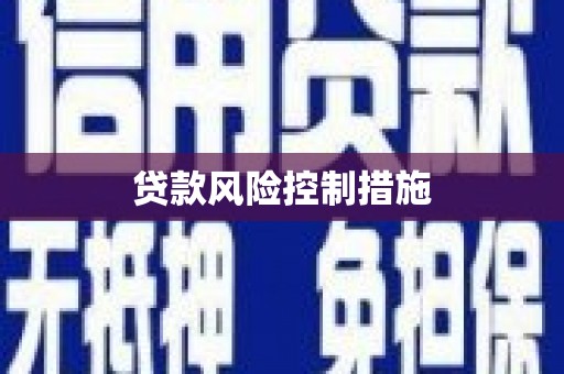 延边贷款风险控制措施
